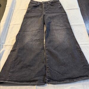 Frame Atmosphere Le Palazzo Crop Stretch Sz 29 waist stretches to 36 Black Rinse